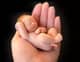 Slider image (4) Kamla Devi Healthcare Private Limited - IVF in Lucknow, India